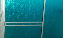 divisiones-de-baño divisiones-de-baño